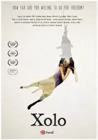 Plakat filmu Xolo
