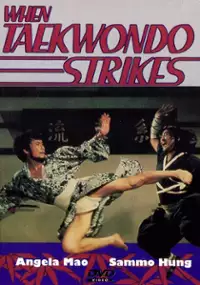 Plakat filmu Tai quan zhen jiu zhou