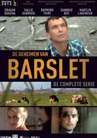 Plakat serialu De Geheimen van Barslet
