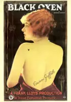 plakat filmu Romans odmłodzonej kobiety