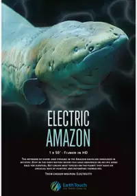 Plakat filmu Electric Amazon