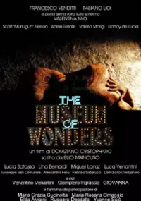 Plakat filmu The Museum of Wonders