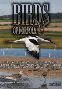 Plakat filmu Birds of Norfolk: A Bird Watchers Dream