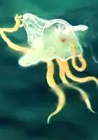 plakat filmu Koapp. Chto uslyshala meduza