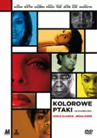 Tim Blanchard / Kolorowe ptaki