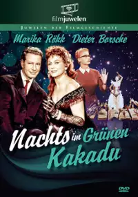 Plakat filmu Nachts im grünen Kakadu