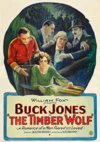 Plakat filmu Timber Wolf