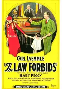 Plakat filmu The Law Forbids
