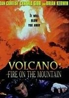 plakat filmu Wulkan płonący szczyt
