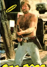 Plakat filmu Samotny wilk McQuade