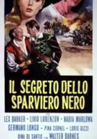 plakat filmu Il segreto dello sparviero nero