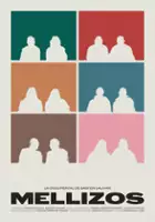 plakat filmu Bliźnięta