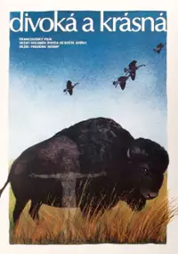 Plakat filmu Sauvage et beau