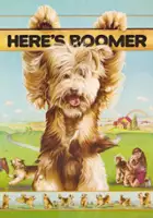 plakat serialu Here's Boomer