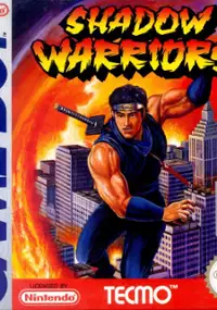 Plakat gry Ninja Gaiden Shadow