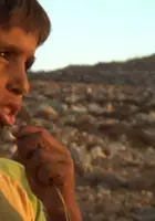 Atef Al-Akhras / Roos Djaj