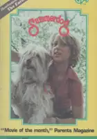 plakat filmu Summerdog