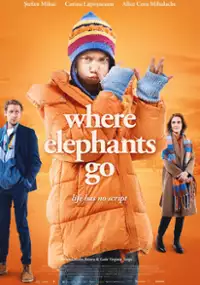 Plakat filmu Gdzie idą słonie