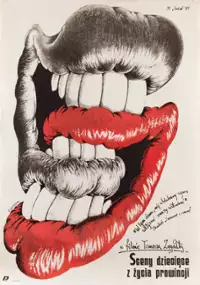 Plakat filmu Sceny dziecięce z życia prowincji