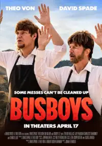 Plakat filmu Busboys