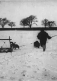 Plakat filmu Kørsel med grønlandske hunde