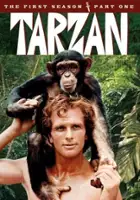 plakat filmu Tarzan