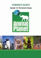 plakat serialu Dzika natura