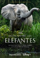 plakat filmu Sekretne życie słoni