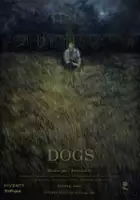 Jakub Bednarz / Dogs