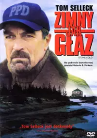 Plakat filmu Zimny jak głaz