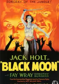 Plakat filmu Czarny księżyc