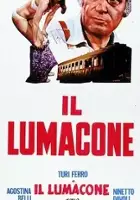 plakat filmu Il lumacone