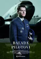 plakat filmu Stalowe skrzydła