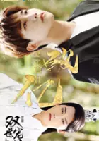 plakat - Shuang Shi Chong Fei (2017)