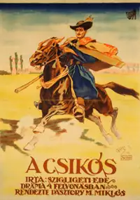 Plakat filmu A Csikós