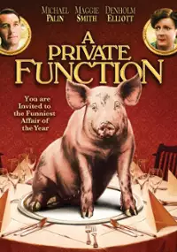 Plakat filmu Prywatne zajęcia
