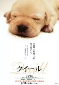 Plakat filmu Quill