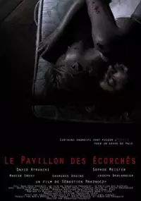 Plakat filmu The Pavilion