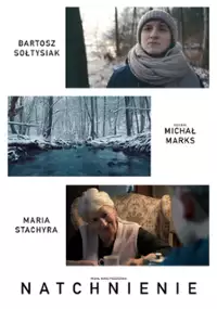 Plakat filmu Natchnienie