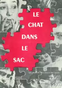 Plakat filmu Le chat dans le sac