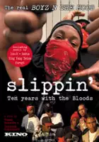 plakat filmu Slippin': Ten Years with the Bloods