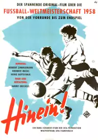 Plakat filmu Hinein!
