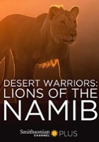 plakat filmu Znikający królowie: pustynne lwy Namibii