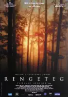 Zolt&aacute;n Lovasi / Gąszcz