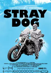 Plakat filmu Przybłęda