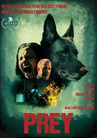 Plakat filmu Sznury