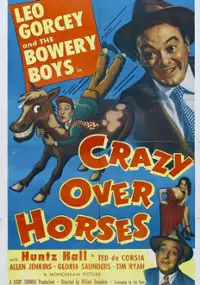 Plakat filmu Crazy Over Horses