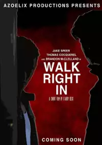 Plakat filmu Walk Right In