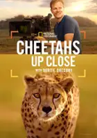 Jigar Ganatra / Bertie Gregory: bliskie spotkanie z gepardami