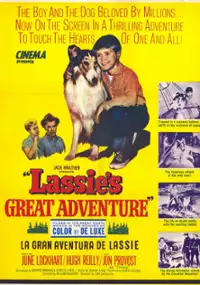 Plakat filmu Lassie's Great Adventure